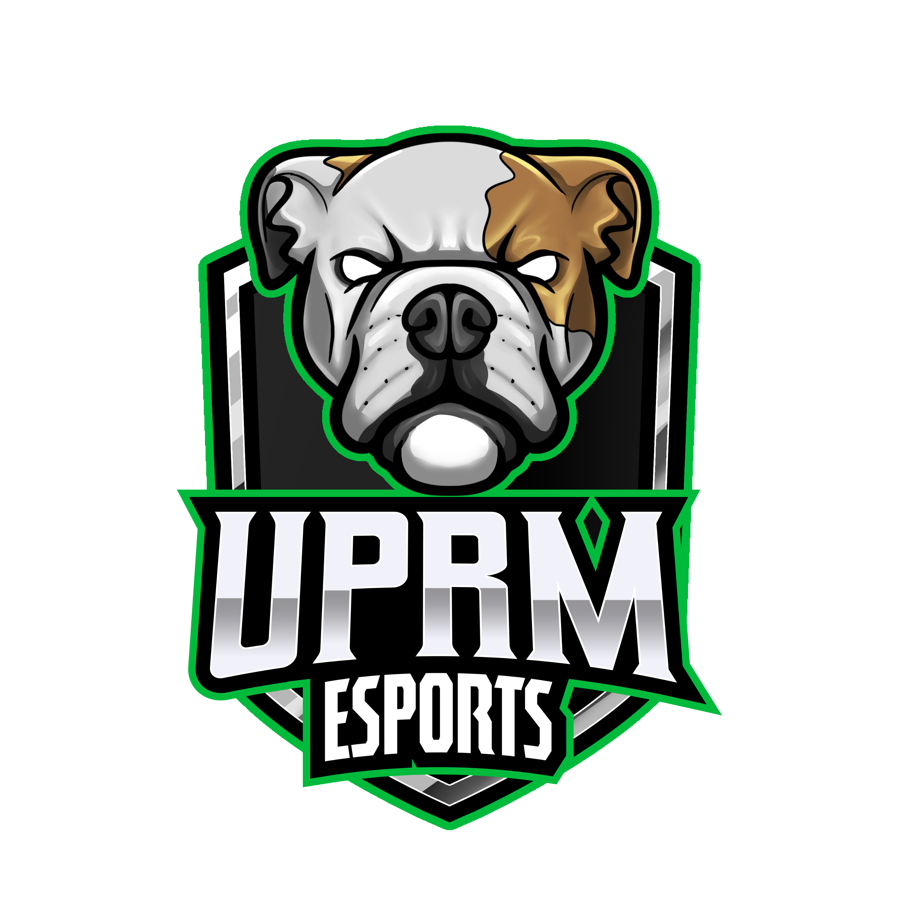 UPRM Esports logo